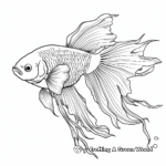 Stunning Siamese Fighting Fish Coloring Pages 4