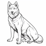 Stunning Siberian Husky Dog Coloring Pages 1
