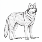 Stunning Siberian Husky Dog Coloring Pages 2