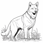 Stunning Siberian Husky Dog Coloring Pages 4