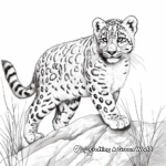 Stunning Snow Leopard In The Mountains Coloring Pages 2