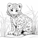 Stunning Snow Leopard In The Mountains Coloring Pages 4