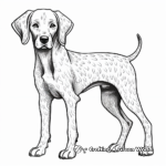 Stylized German Shorthaired Pointer Coloring Pages for Artists 1
