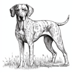 Stylized German Shorthaired Pointer Coloring Pages for Artists 2