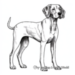 Stylized German Shorthaired Pointer Coloring Pages for Artists 3