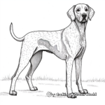 Stylized German Shorthaired Pointer Coloring Pages for Artists 4