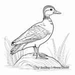Stylized Wood Duck Coloring Pages 4