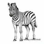 Stylized Zebra Prints for Advanced Coloring 1