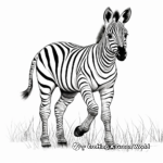 Stylized Zebra Prints for Advanced Coloring 2