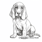 Sweet Basset Hound Puppy Coloring Pages 3