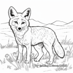 Swift Fox in the Grasslands Coloring Pages 2