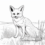 Swift Fox in the Grasslands Coloring Pages 4