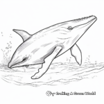 Swimming Humpback Whale Coloring Pages 1
