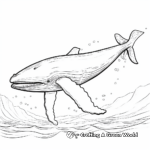 Swimming Humpback Whale Coloring Pages 2