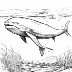 Swimming Humpback Whale Coloring Pages 3