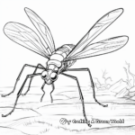 Tarantula Hawk Hunting Sequence Coloring Pages 1