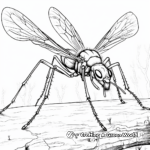 Tarantula Hawk Hunting Sequence Coloring Pages 4
