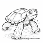 Terrapin Turtle Coloring Pages: Freshwater Turtles 3