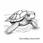 Terrapin Turtle Coloring Pages: Freshwater Turtles 4
