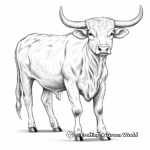 Texas Longhorn Cow Coloring Pages 3