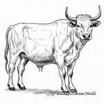 Texas Longhorn Cow Coloring Pages 4