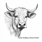 Texas Longhorn Cow Face Coloring Pages 2