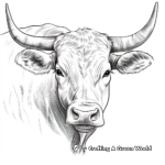 Texas Longhorn Cow Face Coloring Pages 3
