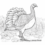 Thanksgiving-themed Wild Turkey Coloring Pages 4