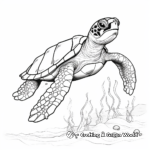 The Endangered Hawksbill Sea Turtle Coloring Pages 1