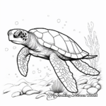The Endangered Hawksbill Sea Turtle Coloring Pages 2