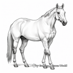The Grace of the American Quarter Horse: Coloring Pages 1