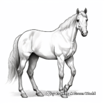 The Grace of the American Quarter Horse: Coloring Pages 2