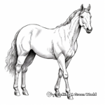 The Grace of the American Quarter Horse: Coloring Pages 3
