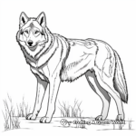 Timber Wolf Coloring Pages 1