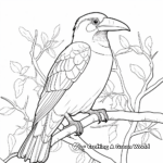 Toucan In The Jungle Coloring Pages 3