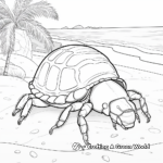 Tropical Beach Hermit Crab Coloring Pages 4