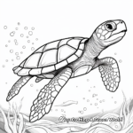 Tropical Sea Turtle Coloring Pages 2