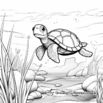 Turtle Habitat Coloring Pages 1
