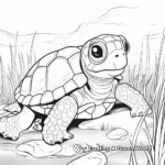 Turtle Habitat Coloring Pages 4