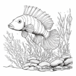 Underwater Life: Seahorse, Clownfish and Sea Anemone Coloring Pages 2
