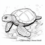 Underwater Olive Ridley Turtle Shell Coloring Pages 2