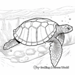 Underwater Olive Ridley Turtle Shell Coloring Pages 3