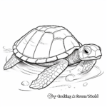 Underwater Olive Ridley Turtle Shell Coloring Pages 4