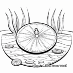 Underwater Scene with Sand Dollar Coloring Pages 4