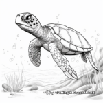 Underwater Scenery with Green Sea Turtle Coloring Pages 2