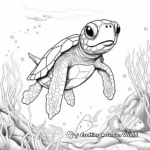 Underwater Sea Turtle Coloring Pages 4