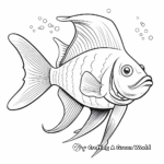 Unique King Angelfish Coloring Pages 1