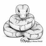 Unique Rainbow Boa Snake Coloring Pages 2