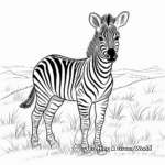 Unique Zebra Coloring Pages 2