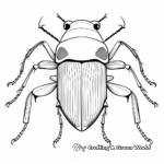 Unusual Bombardier Beetle Coloring Pages 4